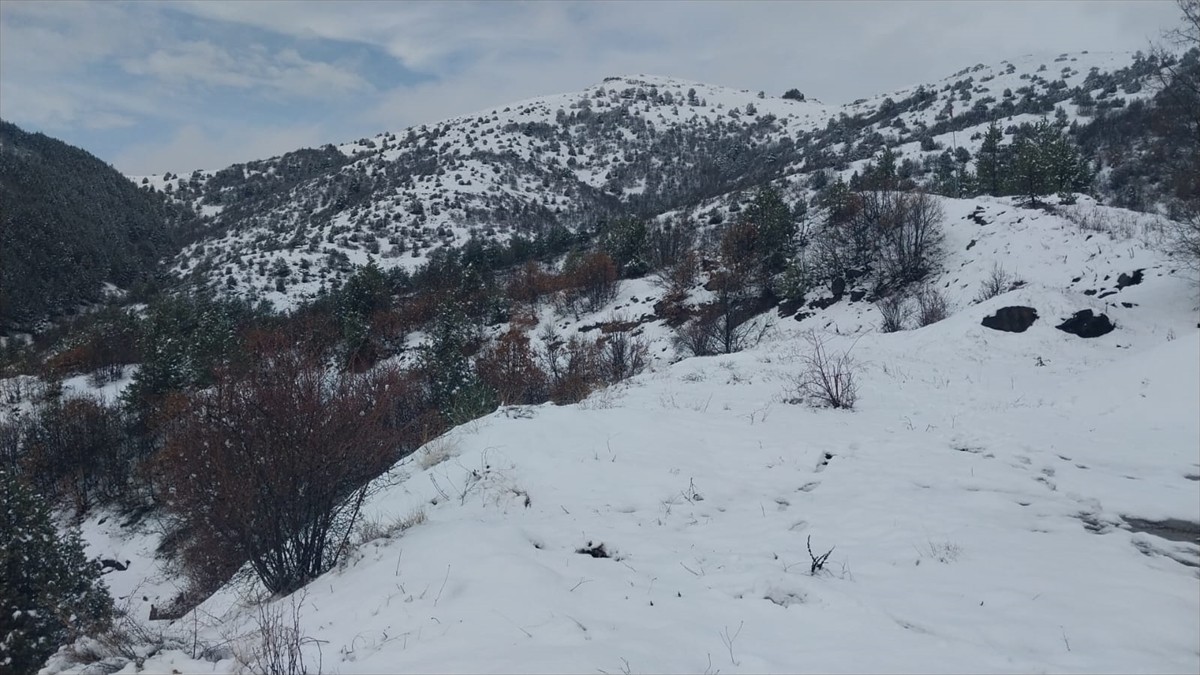 Gümüşhane'nin Kelkit ilçesinde kar etkili oldu.