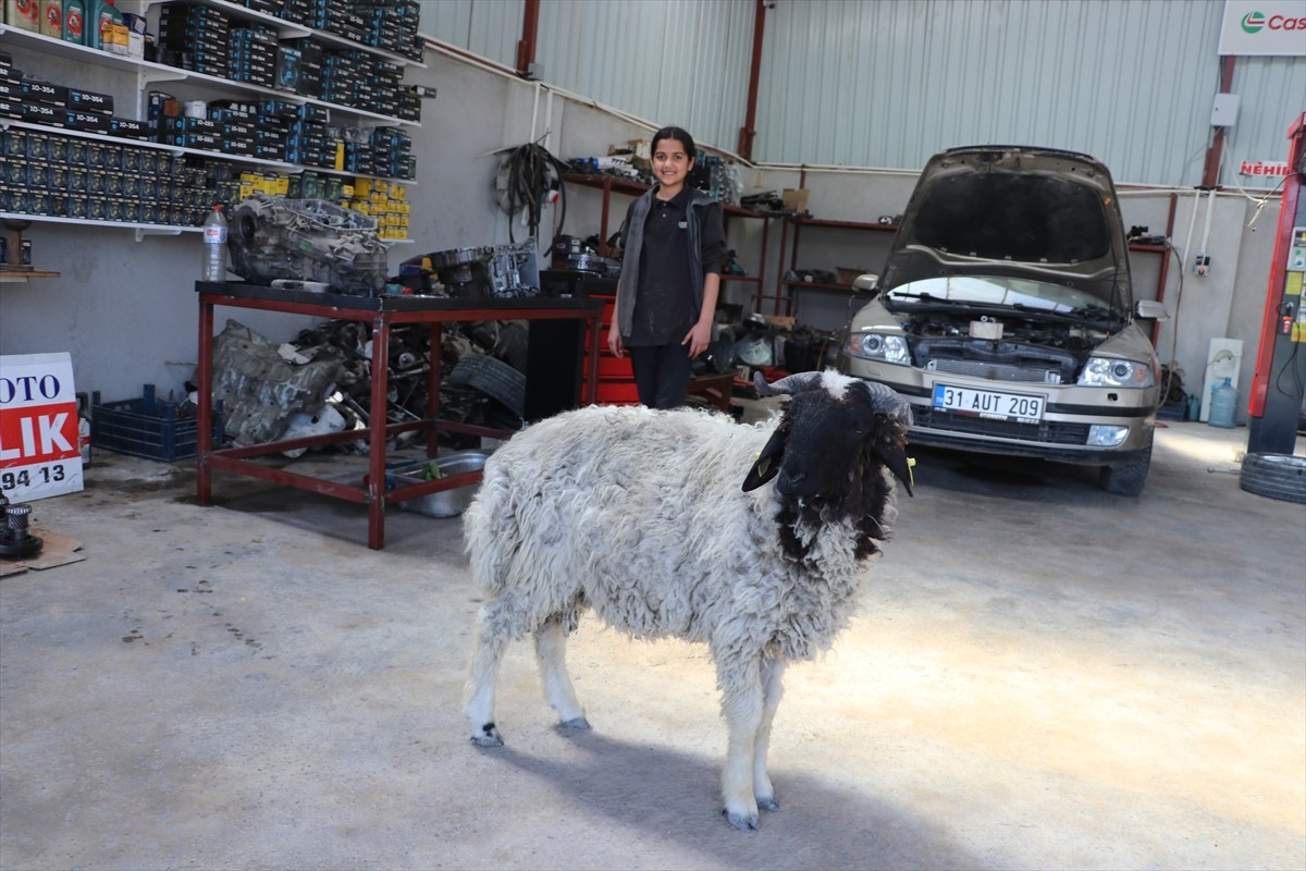 Hatay'ın Antakya ilçesinde 14 yaşındaki Nehir Habiboğlu, hediye edilen "Şakir" adını verdiği...