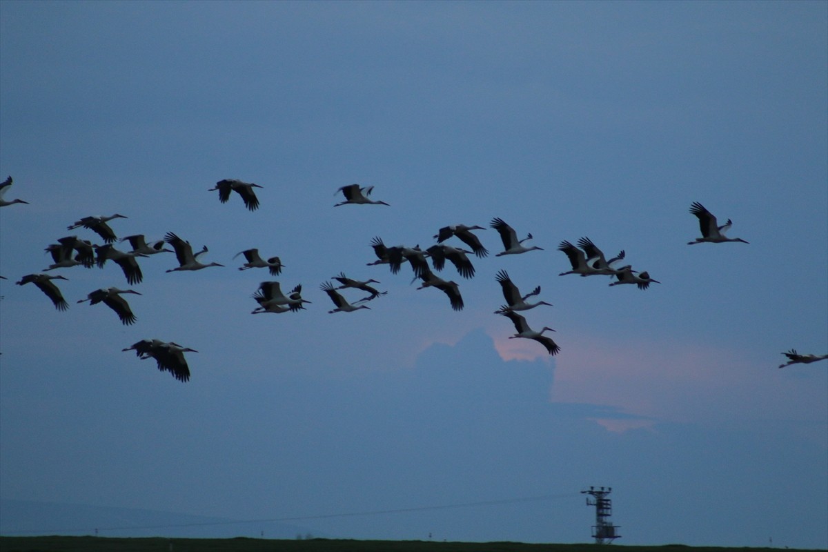 Havaların ısınmasıyla binlerce kilometre kat ederek Afrika ülkelerinden gelen leylekler, Tuz...
