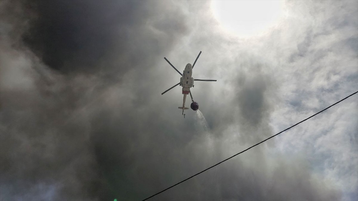İran'ın güneyinde Basra Körfezi kıyısında yer alan Hürmüzgan eyaletine bağlı Bender Abbas'ın Şehid...
