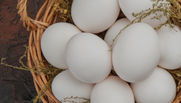 İstanbul'da Mayıs Ayında Yumurta Fiyatlarında Düşüş Bekleniyor