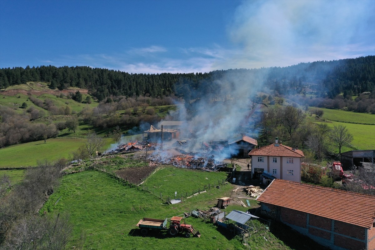 Kastamonu'da çıkan yangında 3 ev ile 3 ahır kullanılamaz hale geldi.