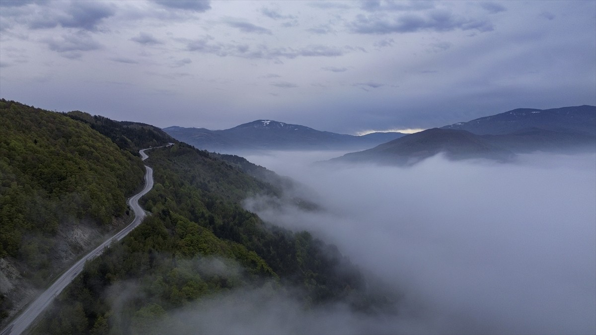 Kastamonu'da sis tabakasının kapladığı ormanlık alanlarda oluşan manzara dronla kaydedildi.