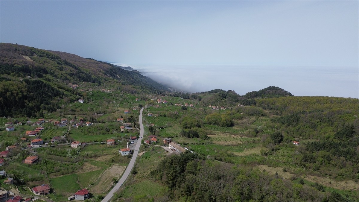 Kastamonu'nun Karadeniz sahilindeki ilçesi Abana'da etkili olan sisin oluşturduğu manzara dronla...