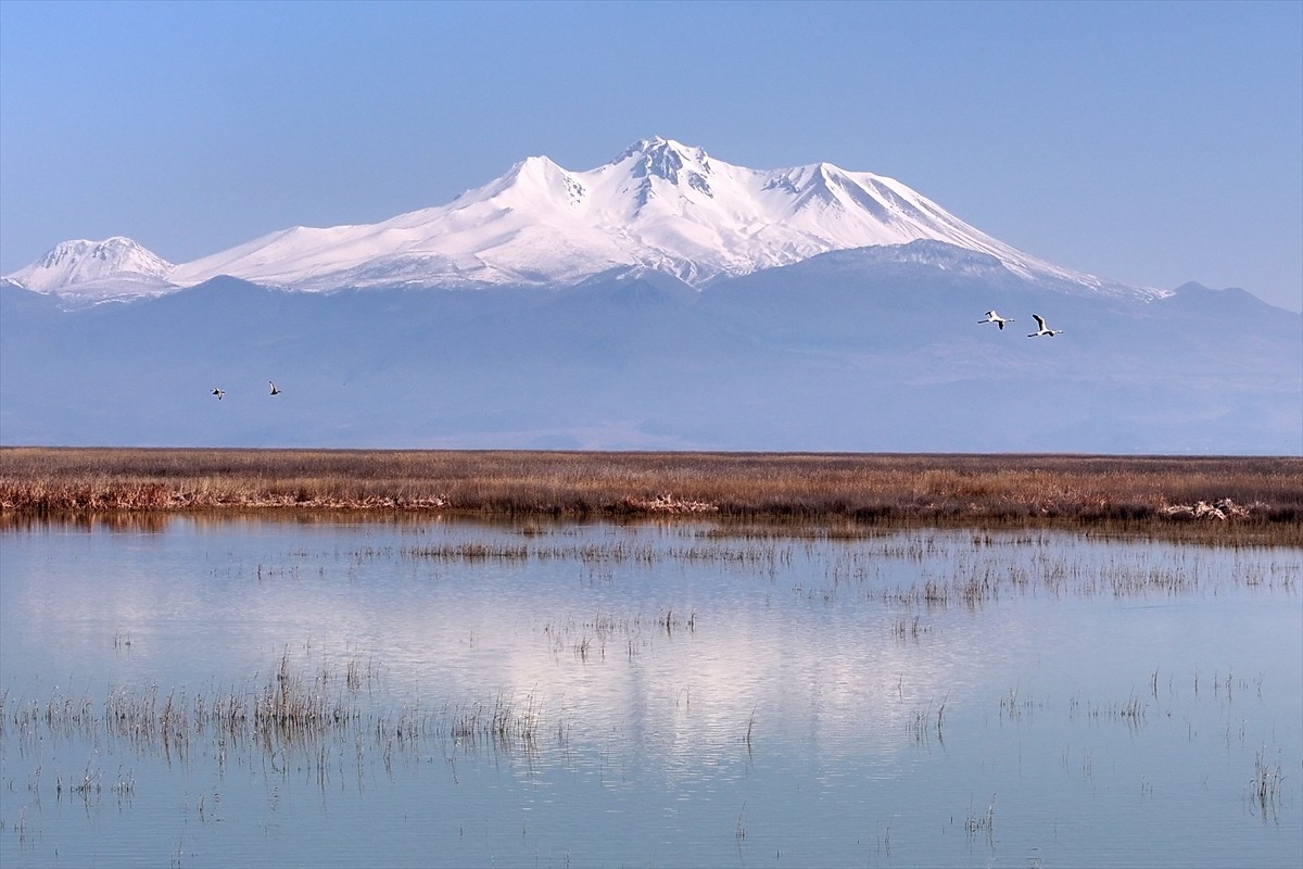 Kayseri'de "kesin korunacak hassas alan" ilan edilen Sultan Sazlığı Milli Parkı'nda çıkan yangın...