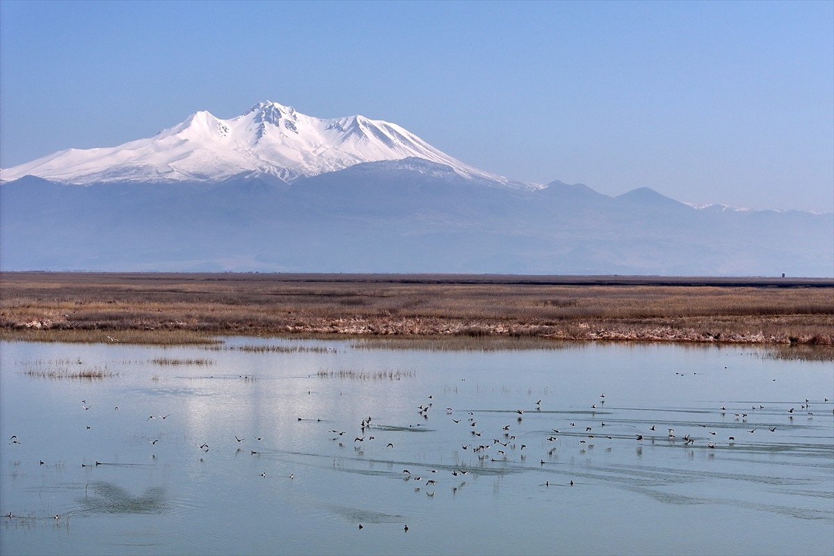 Kayseri'de "kesin korunacak hassas alan" ilan edilen Sultan Sazlığı Milli Parkı'nda çıkan yangın...