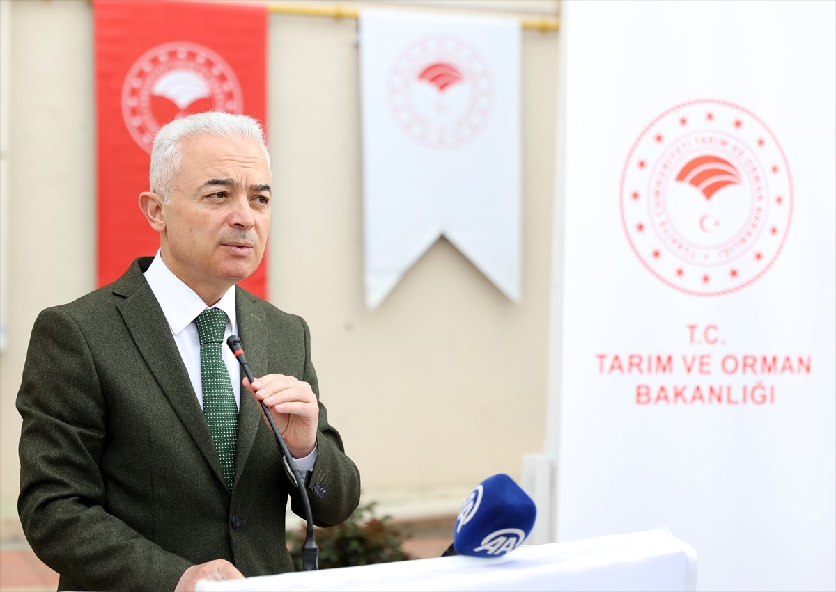 Kırklareli'nde 89 çiftçiye yüzde 75 hibe desteğiyle kuraklığa dayanıklı sorgum sudan otu melezi...