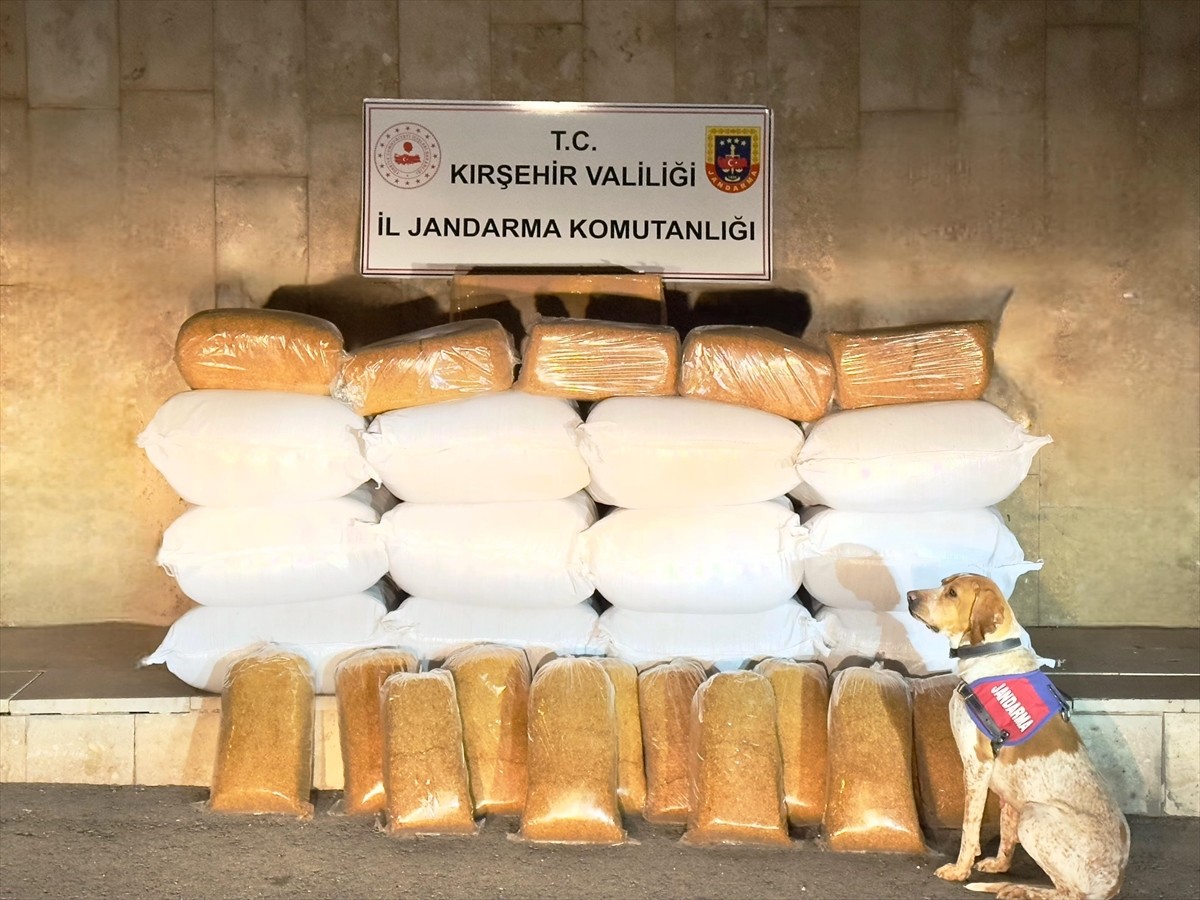 Kırşehir'de düzenlenen operasyonda 633 kilogram kaçak tütün ele geçirildi. Ekipler, kent girişinde...