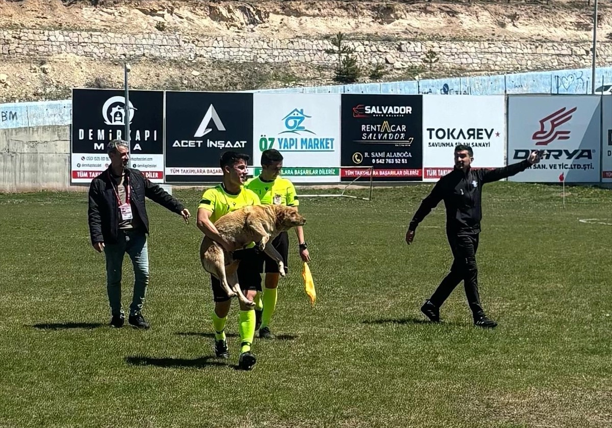 Konya'nın Beyşehir ilçesinde amatör maç sırasında sahaya giren köpek, alanı terk etmeyince hakem...