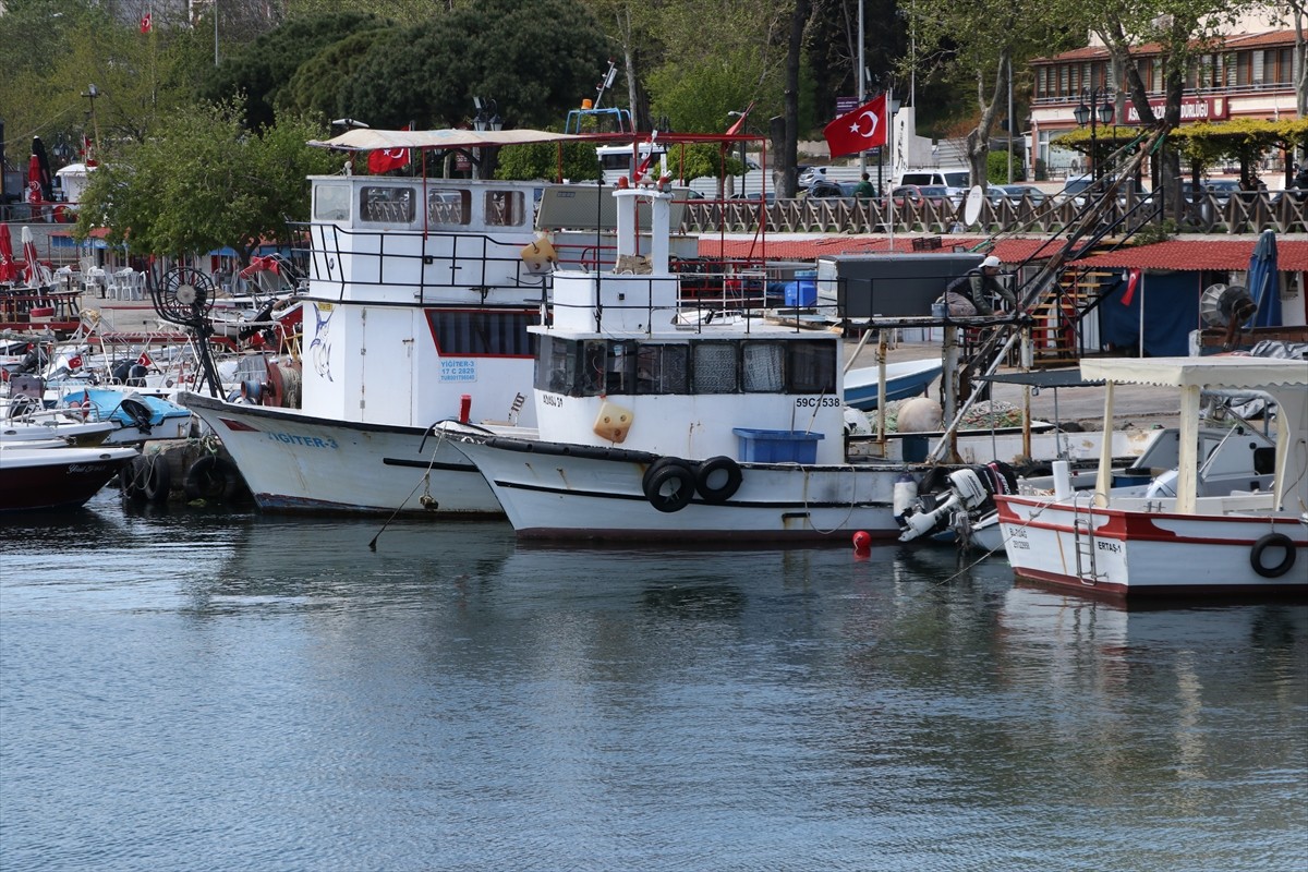 Marmara Denizi'nde etkili poyraz nedeniyle Tekirdağlı balıkçılar 3 gündür denize...