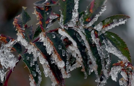 Meteoroloji Genel Müdürlüğü'nden Yaz Mevsimi için Uyarı: Gıda Fiyatları Artabilir
