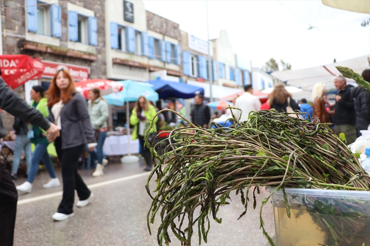 Muğla'nın Bodrum ilçesinde düzenlenen 6. Acı Ot Festivali başladı. Bodrum'un otlarını gelecek...