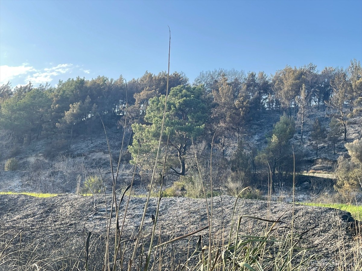 Muğla'nın Seydikemer ilçesinde tarım arazisinde çıkan ve ormanlık alana sıçrayan yangın...
