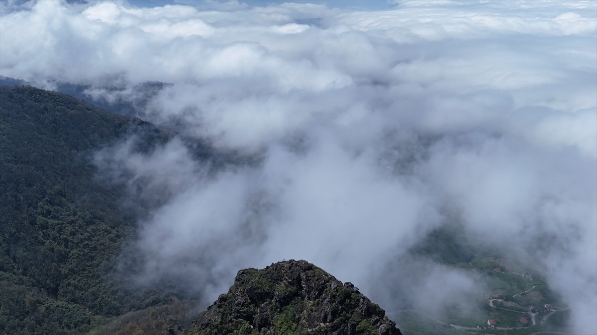 Ordu'nun Altınordu ilçesinde siste güzel manzaralar ortaya çıktı.