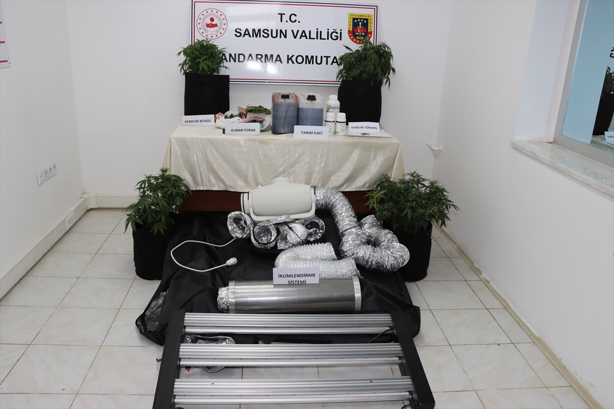 Samsun'un Atakum ilçesinde, evine kurduğu iklimlendirme sistemiyle kenevir yetiştiren zanlı...