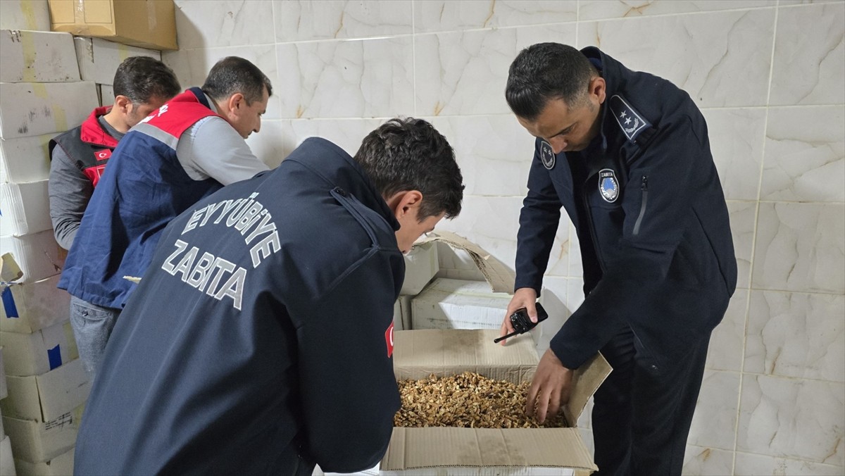 Şanlıurfa'da baklava üretiminde kullanılmak üzere hazırlanan 11 ton küflenmiş ve kurtlanmış ceviz...