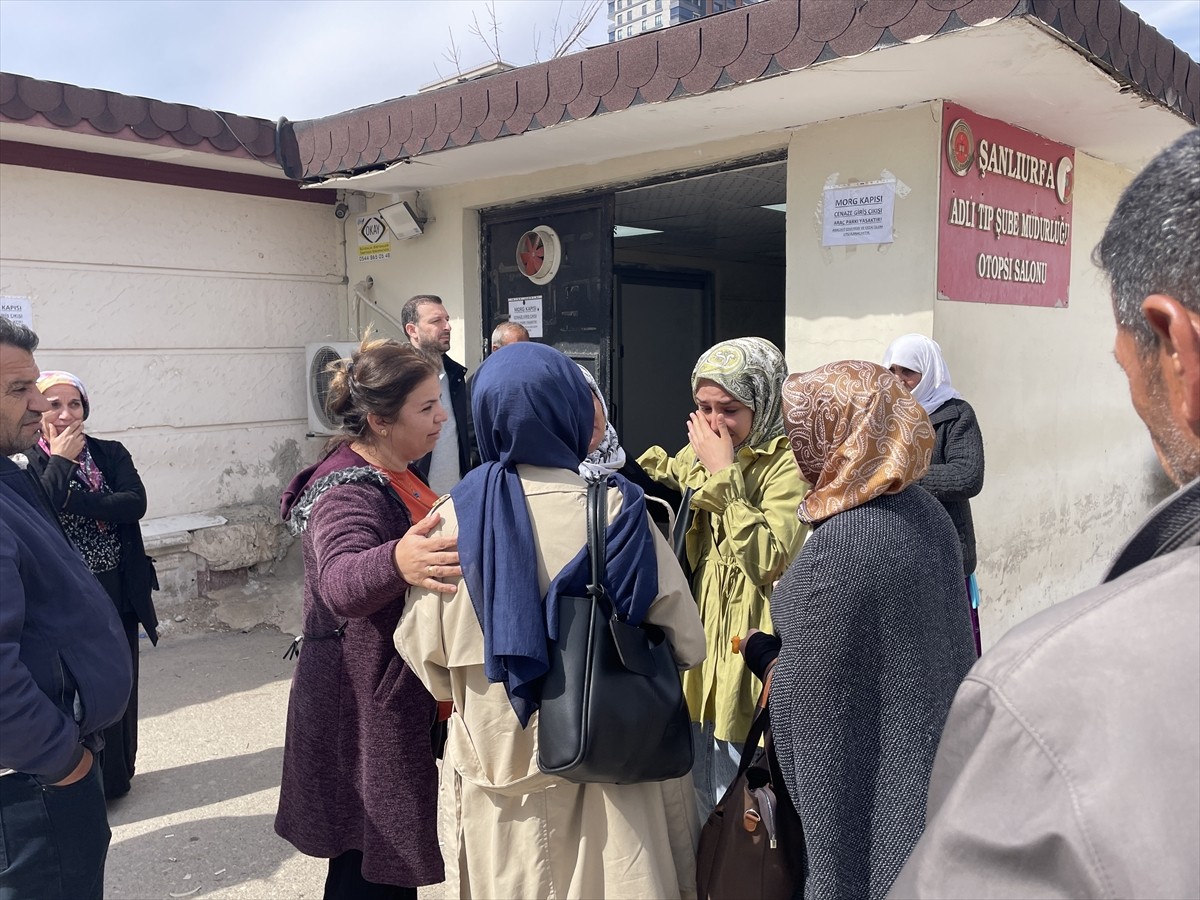 Şanlıurfa'da sahipsiz köpeklerin saldırısından kaçarken otomobilin çarptığı üniversite öğrencisi...