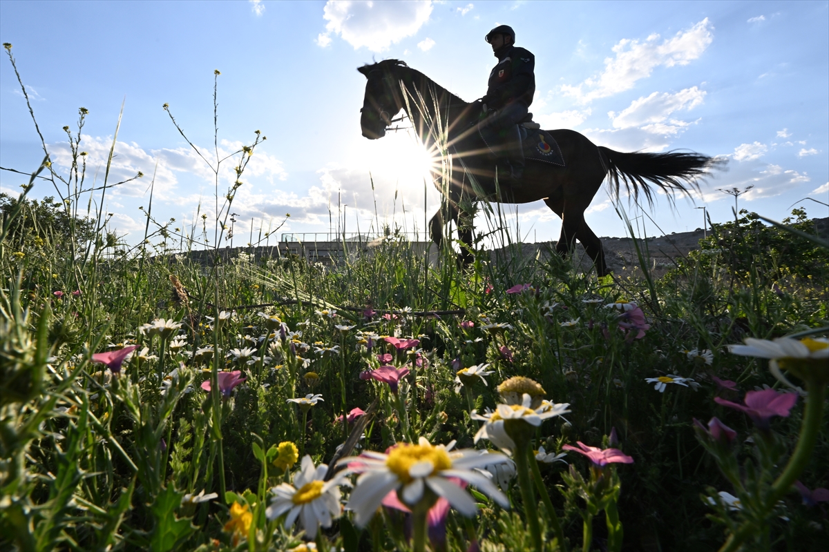 Tarihte birçok medeniyete ev sahipliği yapan "Fırat'ın incisi" Rumkale'de göreve başlayan jandarma...