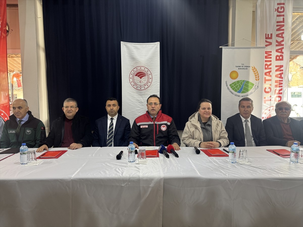 Tarım ve Orman Bakan Yardımcısı Ebubekir Gizligider, Denizli'nin Çivril ilçesinde zirai dondan...