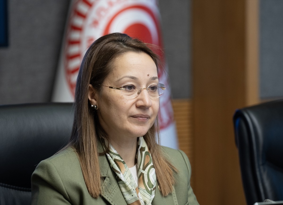 TBMM Kartalkaya Kayak Merkezi'ndeki Otel Yangınını Araştırma Komisyonu, Komisyon Başkan Vekili AK...