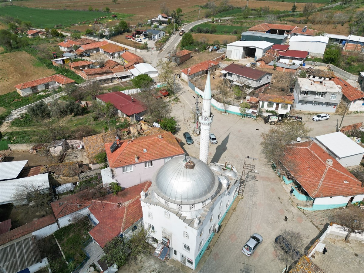 Tekirdağ'da Karahisarlı Camisi 10 yıldır leyleklere yuva oluyor. Süleymanpaşa ilçesi Karahisarlı...