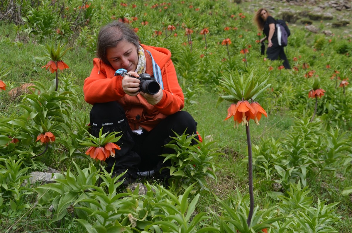 Trabzon'dan Muş'a gelen fotoğraf tutkunları, 1800 rakımlı Karaağaç beldesindeki dağlık alanda...