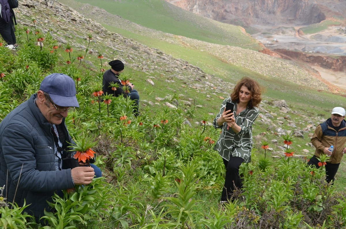 Trabzon'dan Muş'a gelen fotoğraf tutkunları, 1800 rakımlı Karaağaç beldesindeki dağlık alanda...
