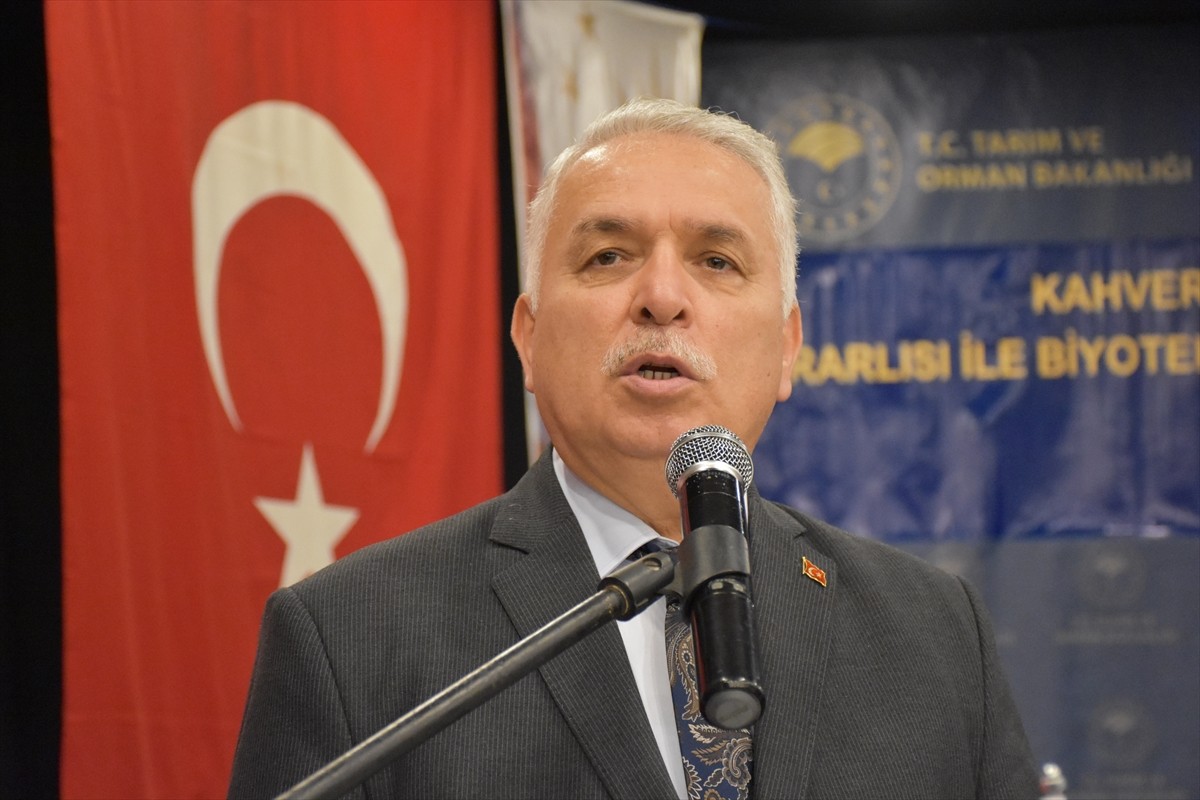 Trabzon'un Akçaabat ilçesindeki Erol Günaydın Sanat Merkezi'nde kahverengi kokarcayla mücadele...