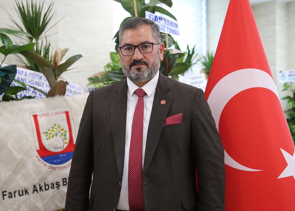 Türkiye'nin Antep fıstığı üreticisi konumundaki kentlerinden Şanlıurfa'da, ürünlerin sağlıklı...