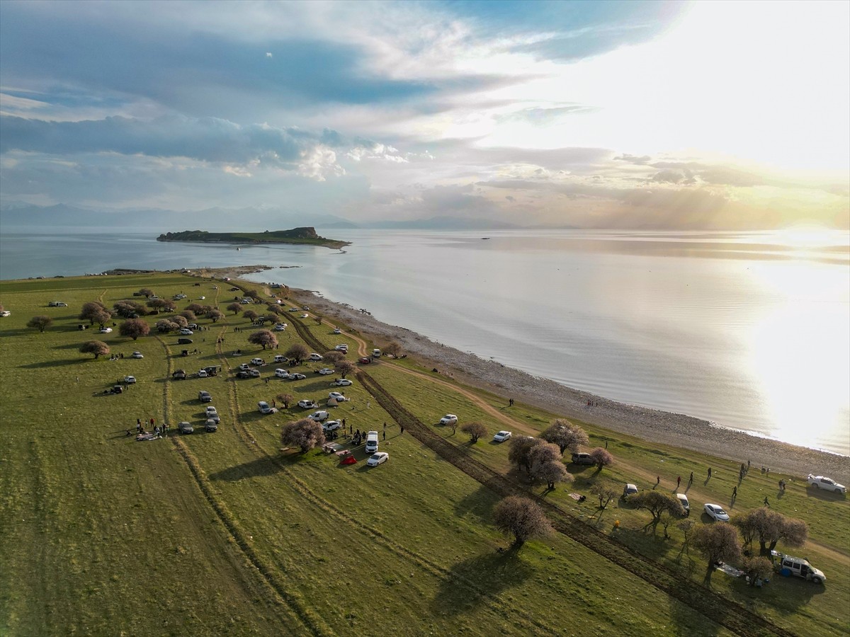 Van'daki Çarpanak Yarımadası, çiçek açan kayısı ve badem ağaçlarının oluşturduğu eşsiz...