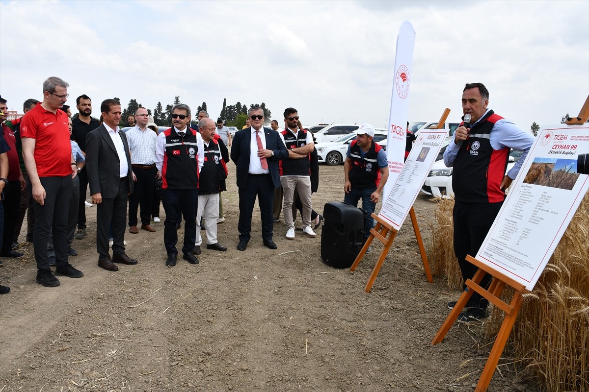 Adana'da Doğu Akdeniz Tarımsal Araştırma Enstitüsünce geliştirilen 4 buğday ve 4 arpa tohumunun...