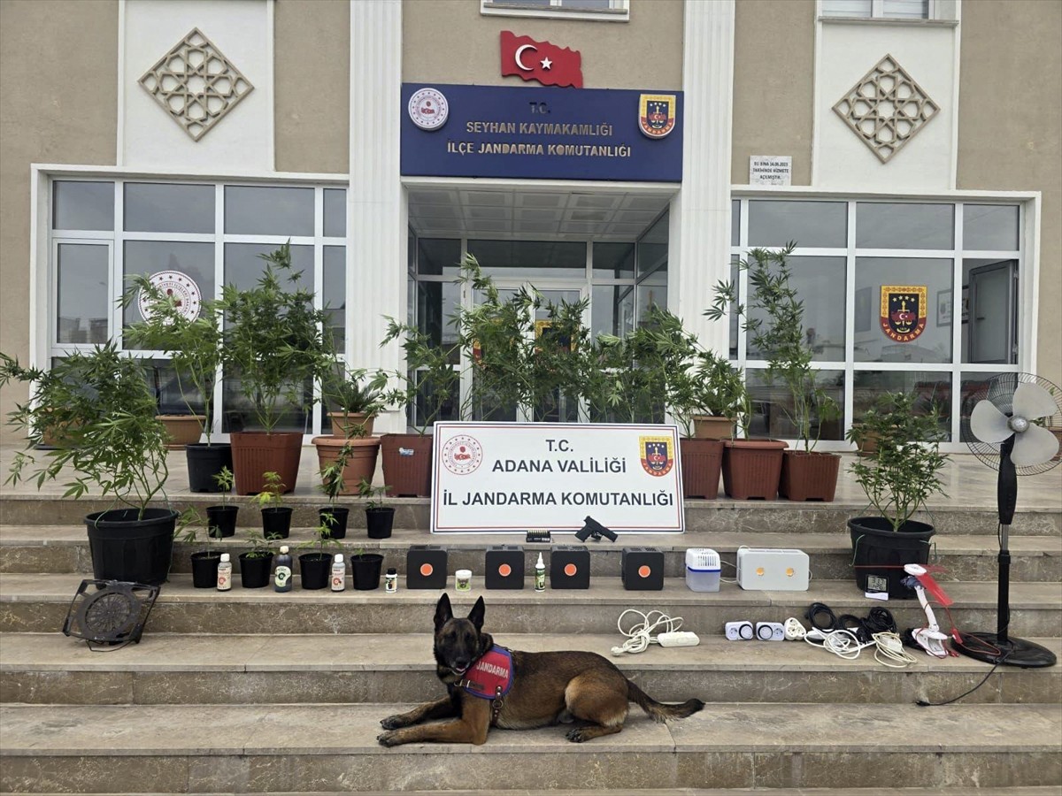 Adana'da evlerine kurdukları iklimlendirme sistemiyle kenevir yetiştirdikleri belirlenen 4 zanlı...