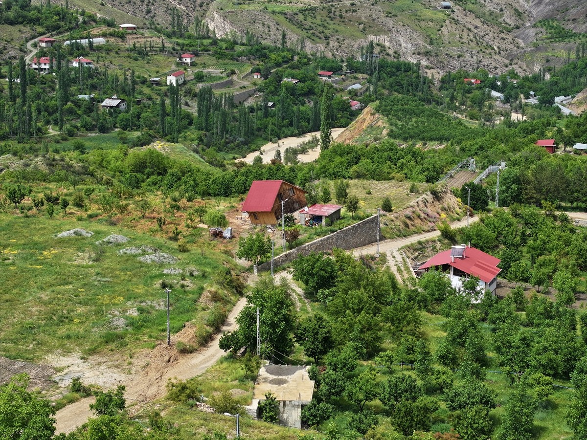 AFAD Deprem ve Risk Azaltma Genel Müdürlüğü, iki gün önce toprak kayması meydana gelen Erzurum'un...