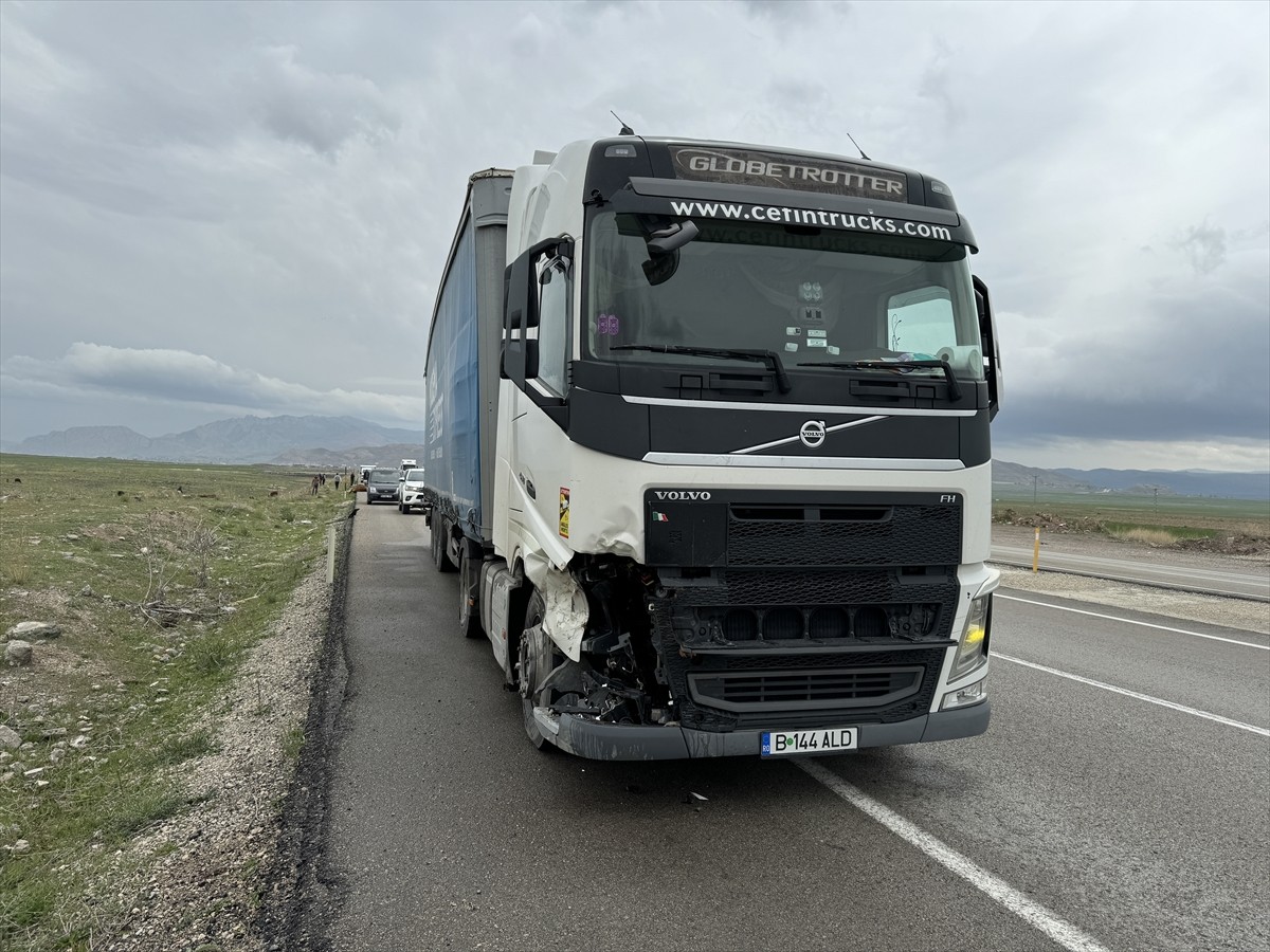 Ağrı'nın Doğubayazıt ilçesinde tırın çarparak ağır yaraladığı 3 büyükbaş hayvan telef olmaması...