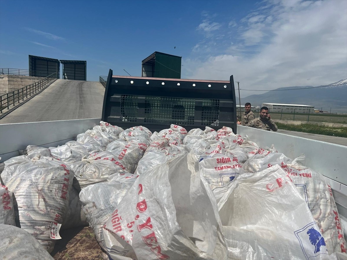 Ağrı'nın Doğubayazıt ilçesinde Van'dan kamyonetle getirilen 2 ton inci kefali ele geçirildi....