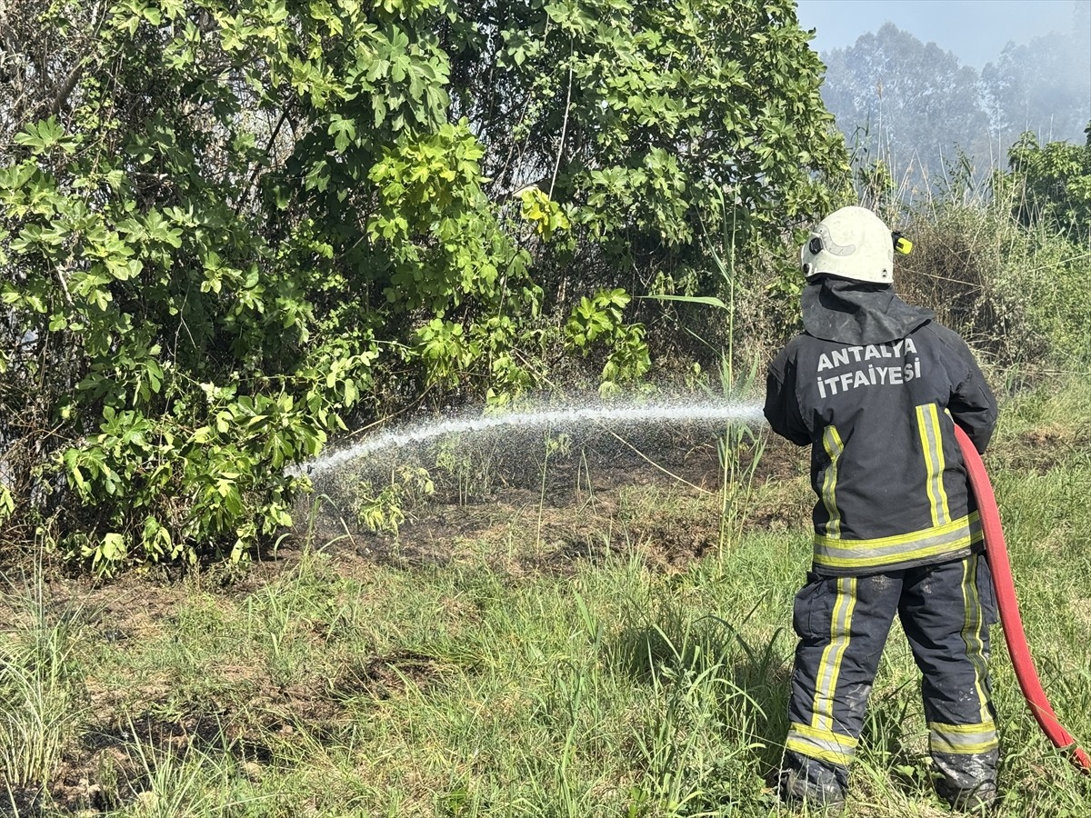 Antalya'nın Muratpaşa ilçesinde ormanlık ve sazlık alanda çıkan yangın itfaiye ekiplerinin...