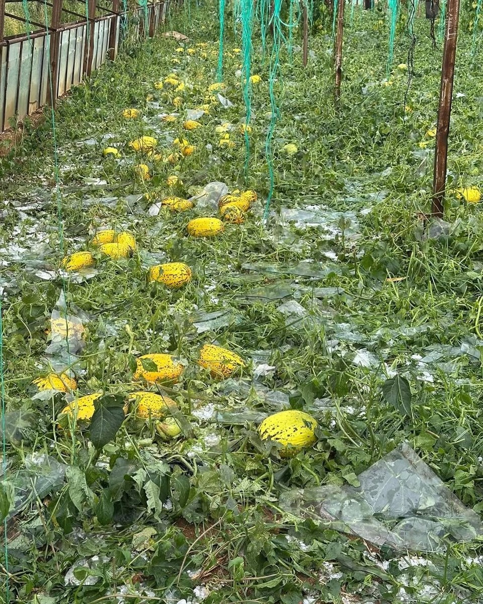 Antalya'nın Serik ilçesinde etkili olan sağanak ile dolu, seralarda ve ürünlerde zarar...