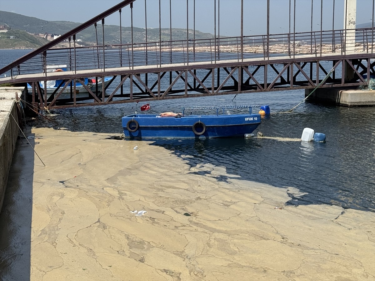 Balıkesir'in Bandırma ilçesi kıyılarında deniz yüzeyinde müsilaj görüldü. Sahildeki müsilaj...