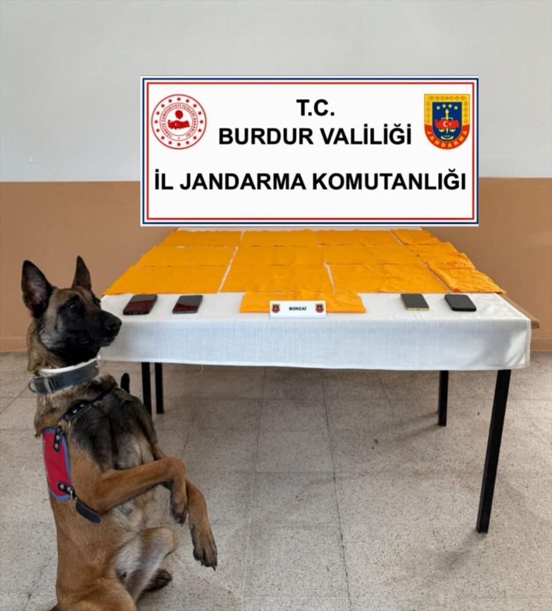 Burdur merkezli Antalya ve Denizli'de düzenlenen uyuşturucu operasyonunda gözaltına alınan 13...