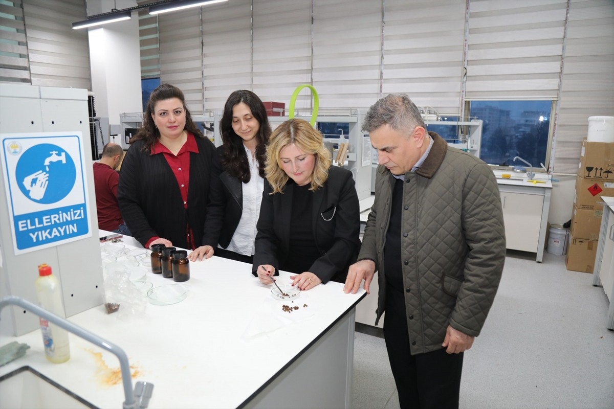 Bursa Teknik Üniversitesi (BTÜ) akademisyenlerinin, arı ekmeğinin endüstriyel ve tıbbi alanda...