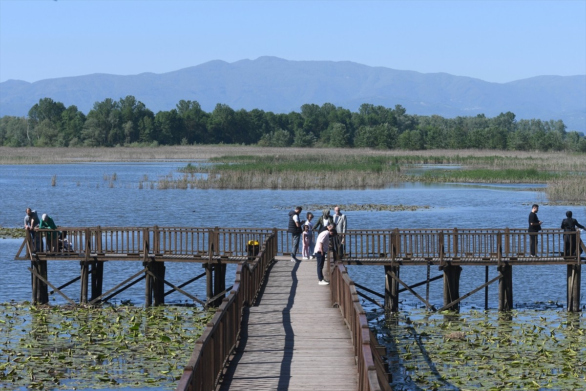 Düzce'nin Gölyaka ilçesinde yer alan ve 22 türden 2 bin 111 kuşun kayıt altına alındığı Efteni...