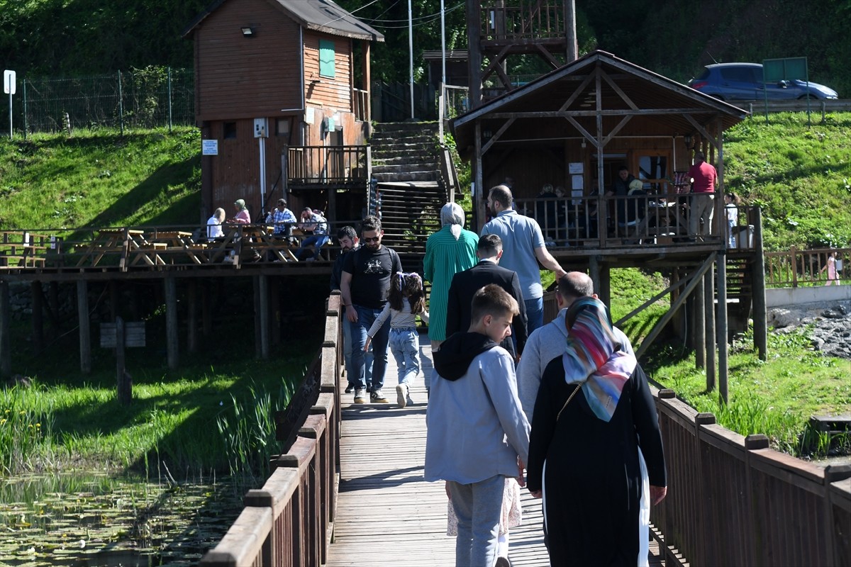 Düzce'nin Gölyaka ilçesinde yer alan ve 22 türden 2 bin 111 kuşun kayıt altına alındığı Efteni...