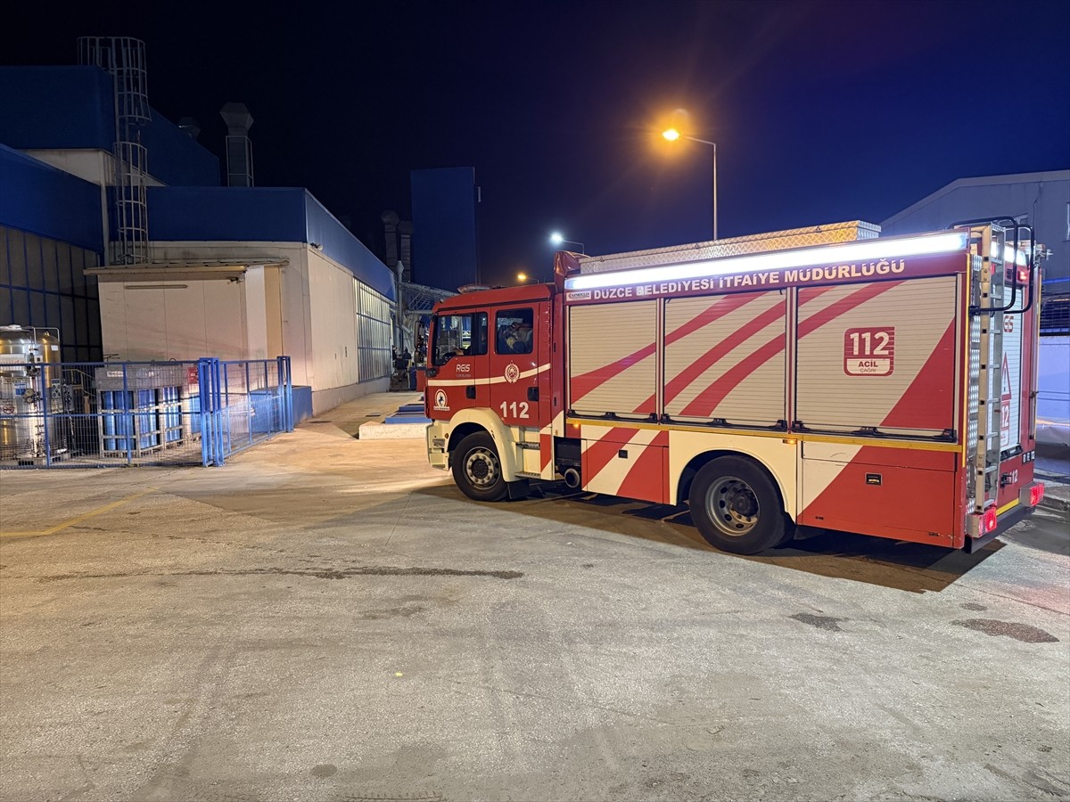 Düzce Organize Sanayi Bölgesi'ndeki fabrikada çıkan yangın hasara neden oldu.