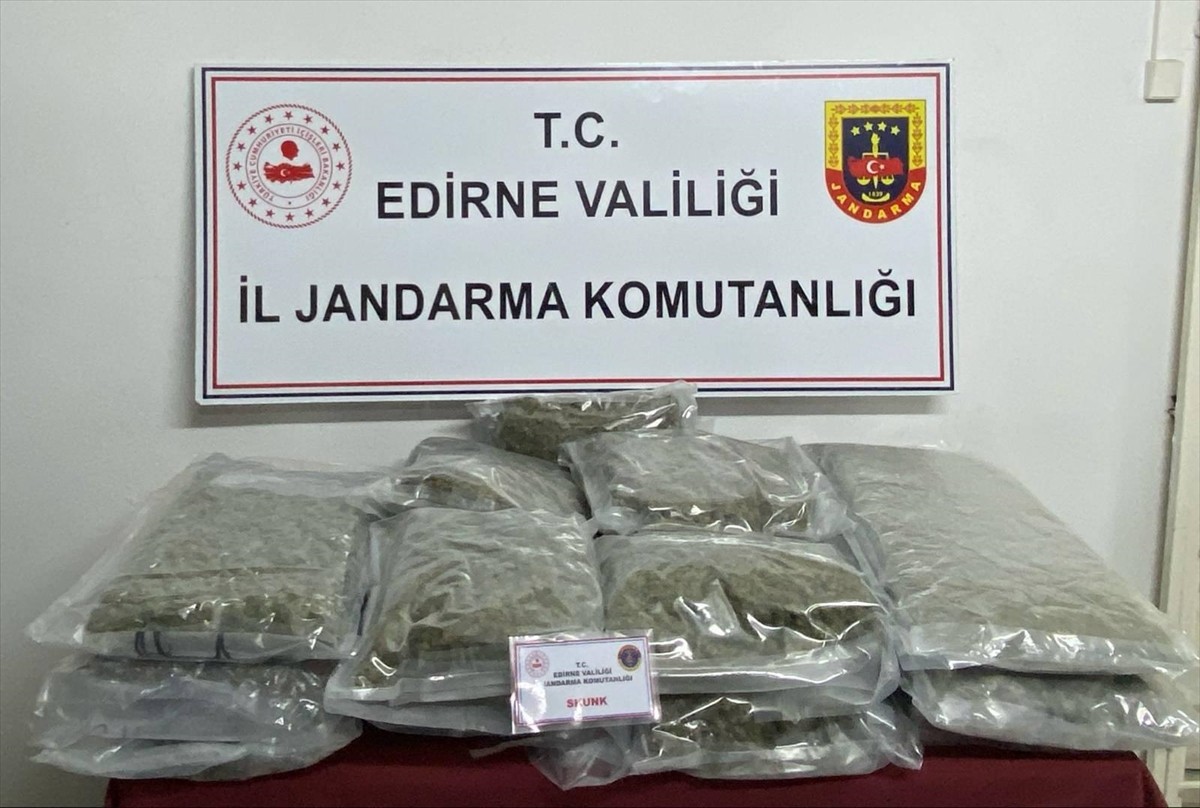 Edirne'de bir otomobilde yapılan aramada 16 kilo 500 gram skunk ele geçirildi.  