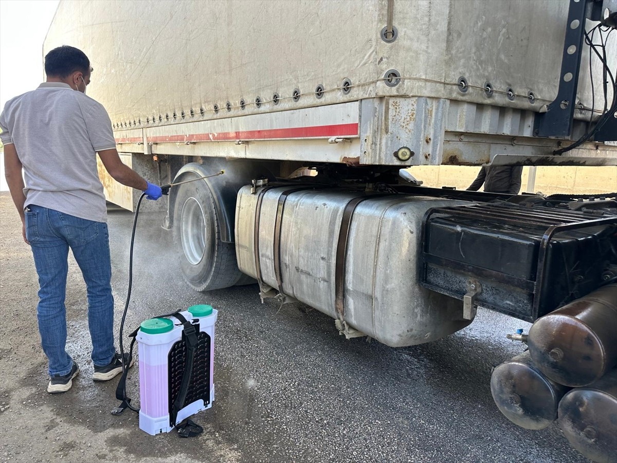Hakkari'nin Yüksekova ilçesinde şap hastalığına karşı denetimler sürüyor. Polis ve jandarma...