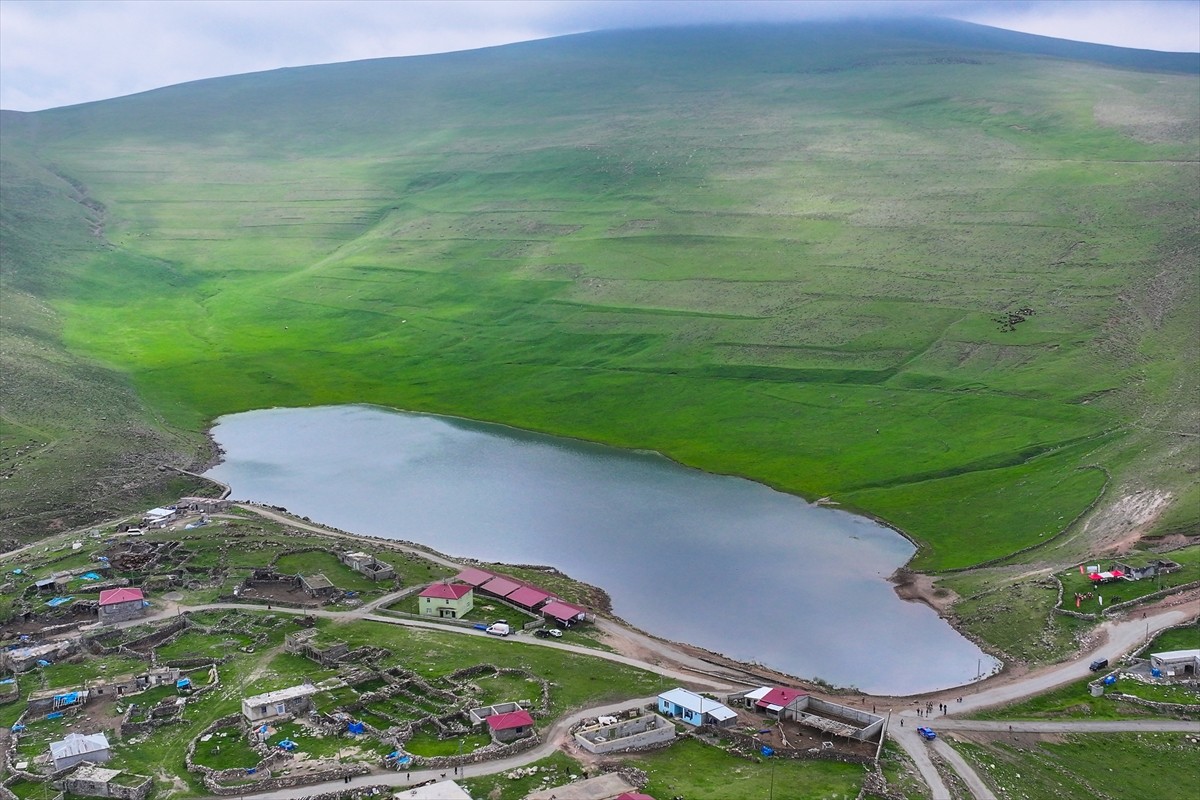 Iğdır'da Tarım ve Orman Bakanlığının "Mera Islah ve Amenajmanı Projesi" kapsamında, 10 bin dönüm...