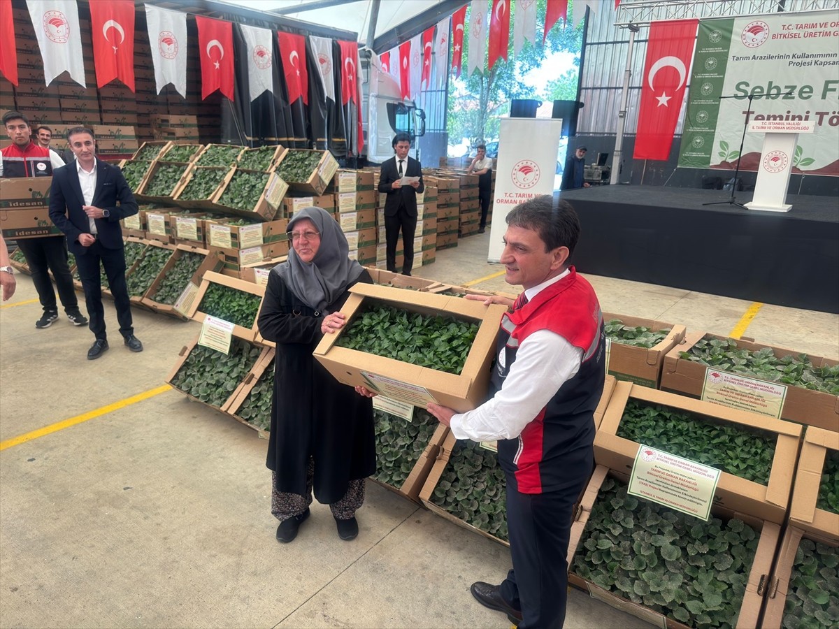 İstanbul İl Tarım ve Orman Müdürlüğü koordinasyonunda ve Tarım ve Orman Bakanlığı Bitkisel Üretim...