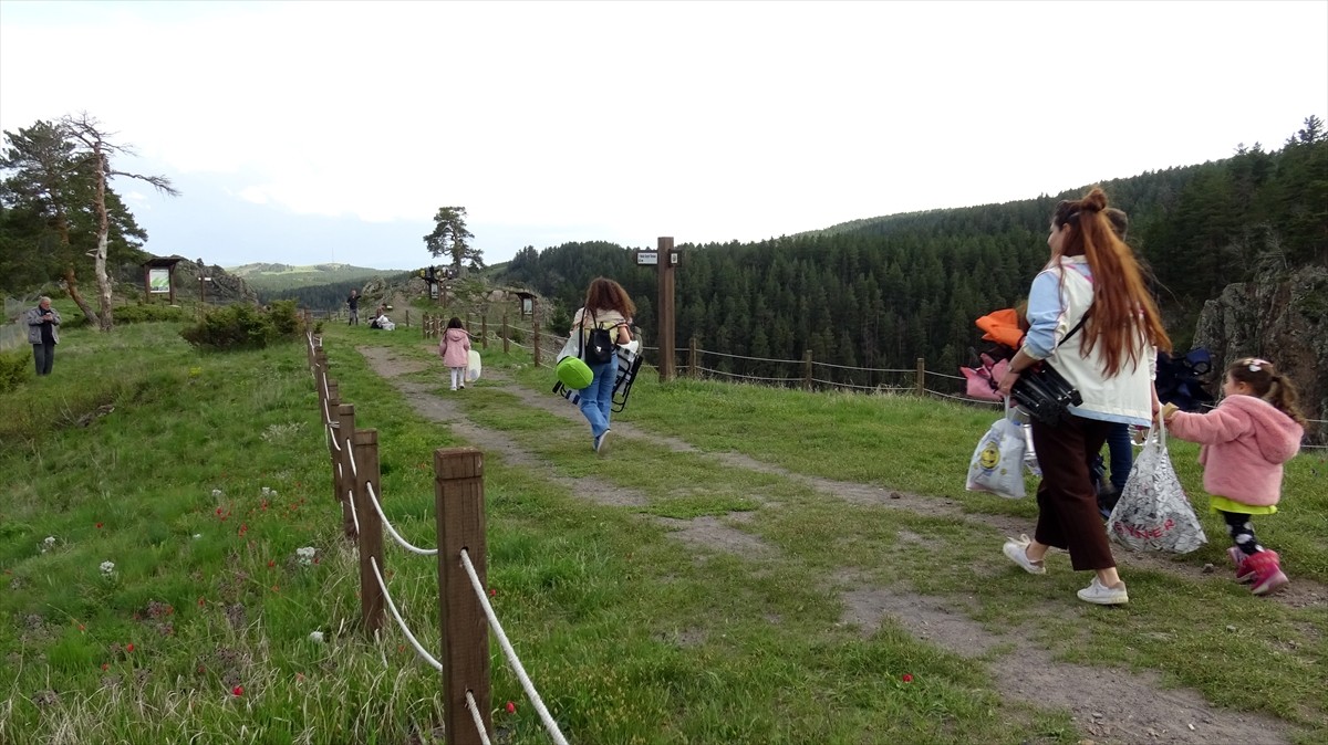Kars'ın Sarıkamış ilçesinde bulunan "eko turizm" alanı, yağmurların ardından açan rengarenk...