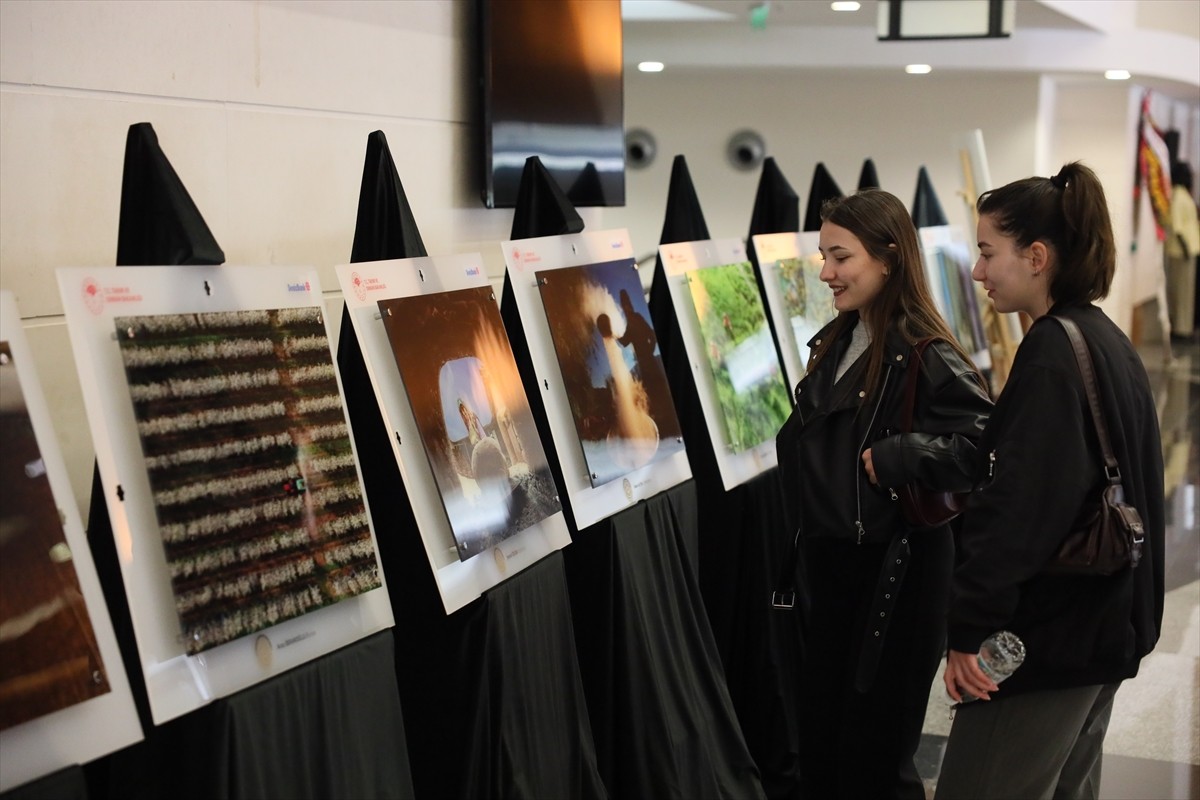 Muğla'da "Zeytinin Zeytinyağına Kayıpsız ve Kaliteli Yolculuğu" projesi kapsamında düzenlenen 6....