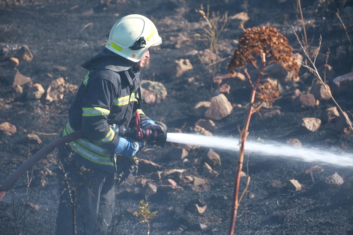Muğla'nın Bodrum ilçesinde otluk alanda çıkan yangın söndürüldü.